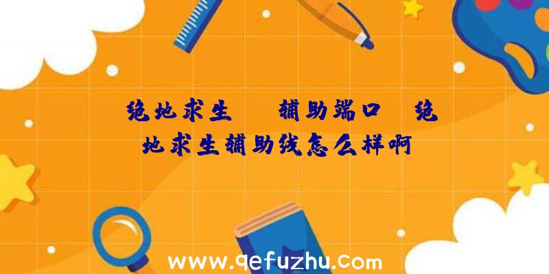 「绝地求生LPL辅助端口」|绝地求生辅助线怎么样啊